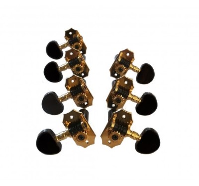 Van Gent 7 Strings Classical Single Guitar Machine Heads 39.01.C Gold with and Black Buttons 4L+3R or 3L+4R