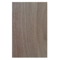 American Walnut 