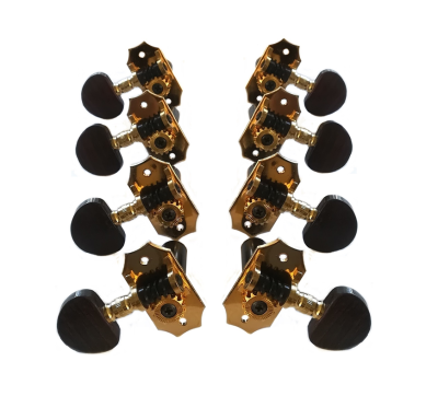 Van Gent 8 Strings Classical Guitar Single Machine Heads 39.01.C Gold with and Black Buttons 4L+4R